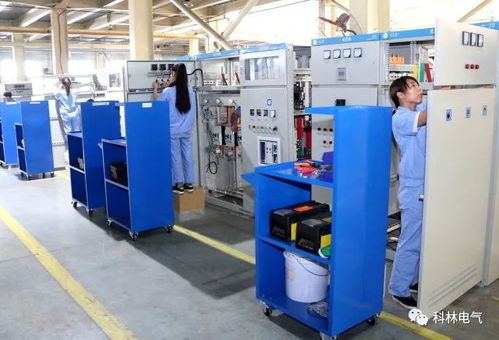 建優(yōu)質項目 鑄精品工程——走進科林電力工程總承包建設工程